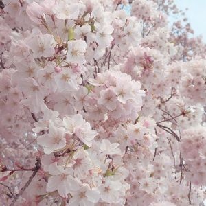 Meet your Posher, Jeannie